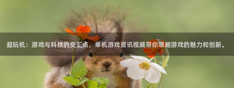 多彩娱乐网页登录入口官网：超玩机：游戏与科技的交汇点，单机游