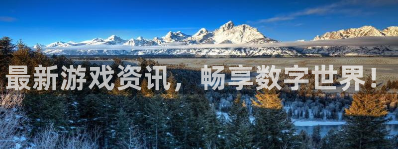 多彩娱乐集团：最新游戏资讯，畅享数字世界！