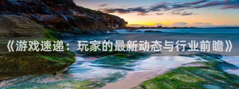 多彩娱乐4招商：《游戏速递：玩家的最新动态与行业前瞻》