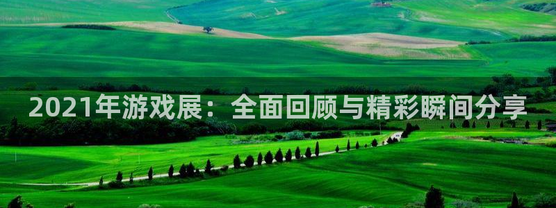 手机多彩娱乐下载安装：2021年游戏展：全面回顾与精彩瞬间分