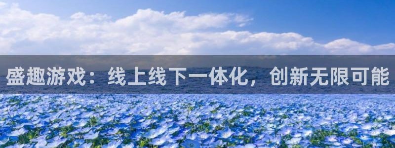 多彩娱乐平台负责人：盛趣游戏：线上线下一体化，创新无限可能