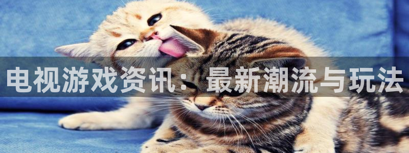 多彩娱乐注册登录：电视游戏资讯：最新潮流与玩法