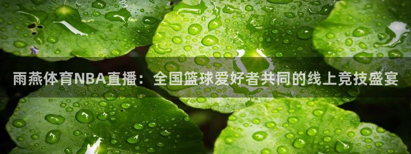 看球吧免费直播：雨燕体育NBA直播：全国篮球爱好者共同的线上竞技盛宴