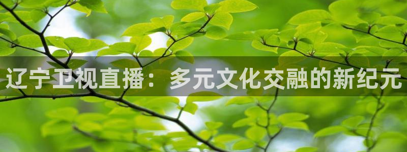 360免费直播超清 看球吧：辽宁卫视直播：多元文化交融的新纪元