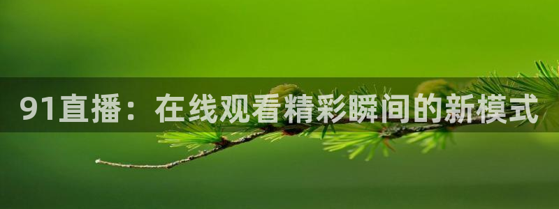 免费看球吧：91直播：在线观看精彩瞬间的新模式