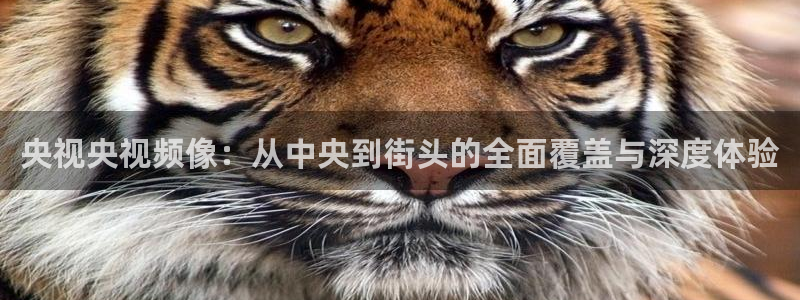 看球吧体育直播平台：央视央视频像：从中央到街头的全面覆盖与深度体验