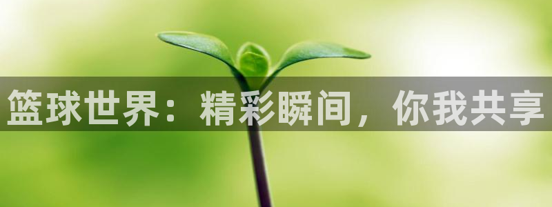 88看球吧直播：篮球世界：精彩瞬间，你我共享