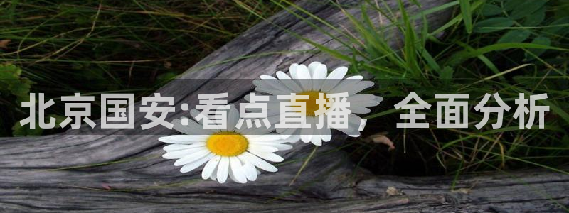 nba直播球友
