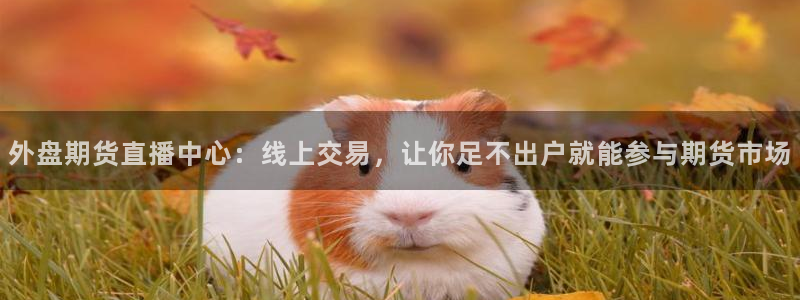 球友直播平台